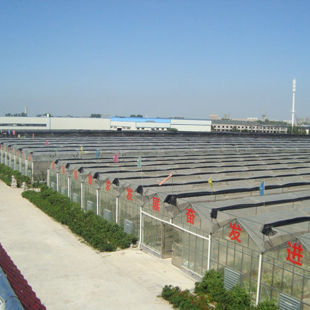 山東鼎韻園林綠化有限公司